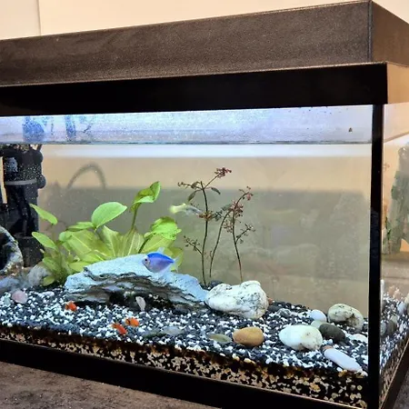 Premium Center Jogailos Апартаменты *