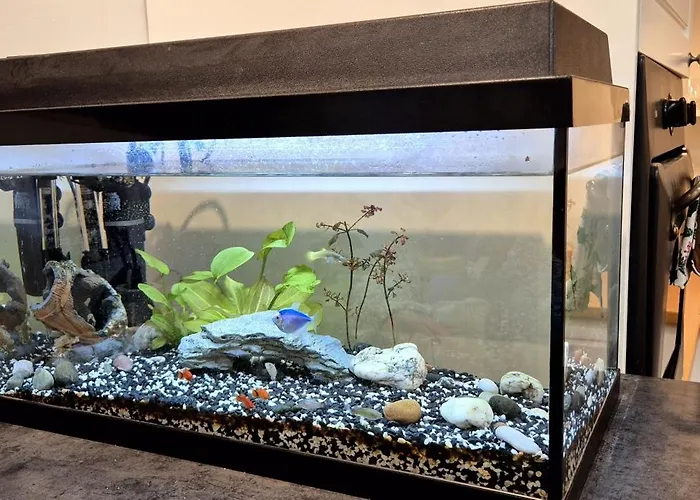 Premium Center Jogailos アパート *